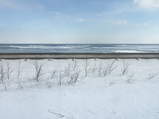 サハリン東岸の流氷（2016年）